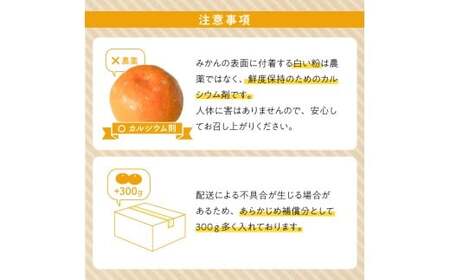 ZE6515_【2026年先行予約】【秀品】和歌山県産　有田みかん 約7kg 秀品（S～Ｌサイズ混合）【まごころ手選別】