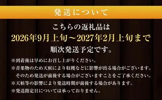 【規格外品】熊本市産 完熟 蜜柑 ご家庭用 12kg 【2026年9月上旬～2027年2月上旬迄発送予定】 みかん ミカン 果物 フルーツ
