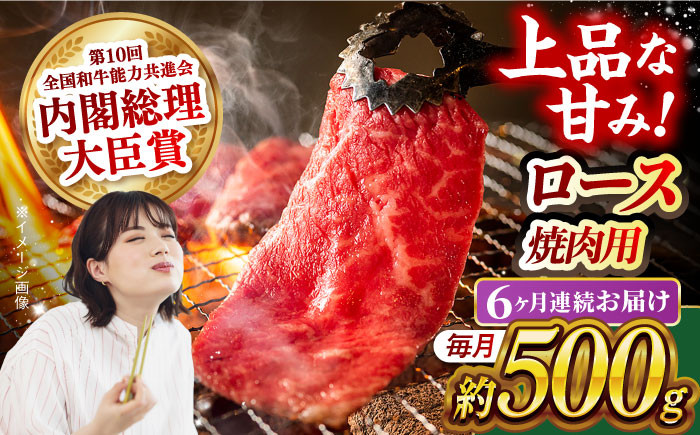 
            【月1回約500g×6回定期便】長崎和牛 ロース 焼肉用 計3kg 長崎県/長崎県農協直販 [42ZZAA165]　 肉 牛 和牛 ロース 焼肉 焼き肉 西海市 長崎 九州 定期便
          