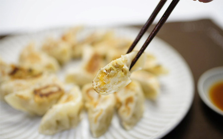 No.423 人気の定番「行田の餃子」3種セット　各2袋