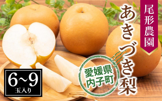 
            尾形農園のあきづき梨（2）【6～9玉入り】【フルーツ 果物 くだもの 食品 人気 おすすめ 送料無料】
          