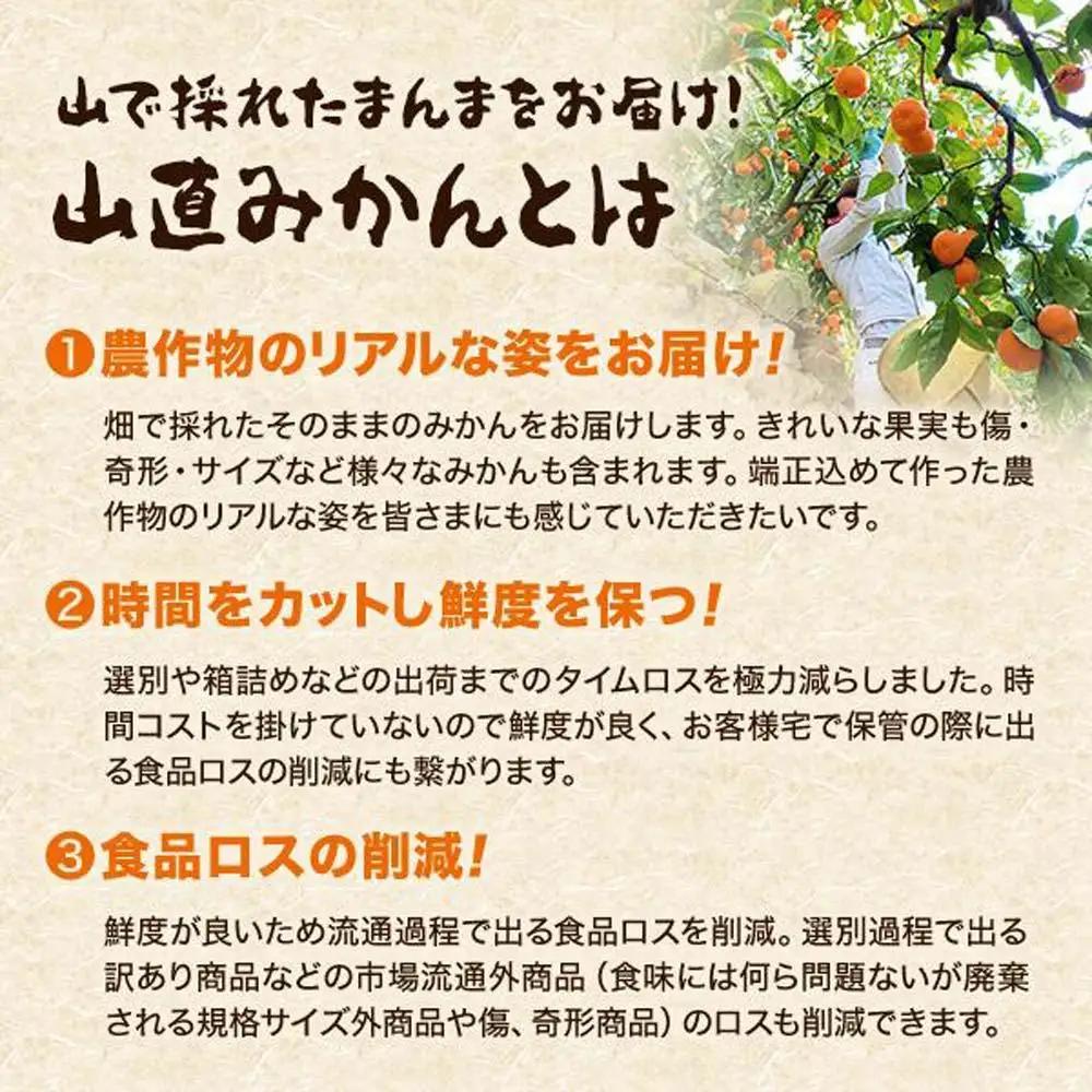 ゆら早生 みかん 山から直送 箱込 2.5kg (内容量 2.3kg) 採れたてそのままごろごろ規格 有田みかん 和歌山県産 【みかんの会】［2026年10月下旬頃より順次発送予定］