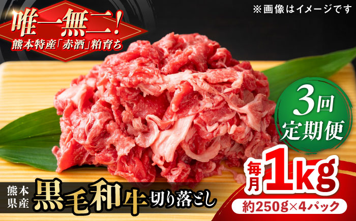 
                  【全3回定期便】熊本県産 『原田畜産』 黒毛和牛 切り落とし 計約1kg（約250g×4パック）/ 熊本 牛 肉 黒毛和牛 切り落とし 肉じゃが プルコギ ビーフ カレー 肉料理 【有限会社 九州食肉産業】 [AYCN042]
                