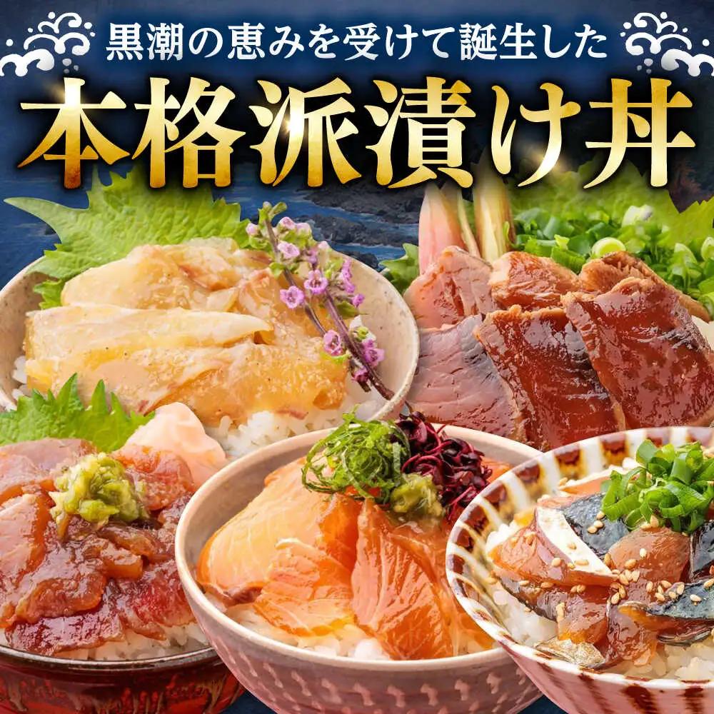 高知の魚5種類が味わえる海鮮漬け丼セット タイ マグロ カンパチ 鰹たたき サバ /各2　冷凍 海鮮丼 海鮮 漬け丼高知 漬け丼【株式会社　七和】[ATAX019]　