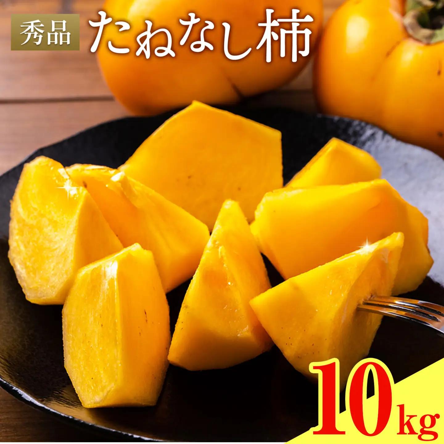 たねなし柿 秀品 10kg 農業福祉研究機構《9月上旬-11月上旬頃出荷》