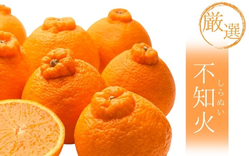 
            ＜2月より発送＞【先行予約】厳選不知火7.5kg+250g（傷み補償分）【デコポンと同品種・人気の春みかん】【ikd054D】
          