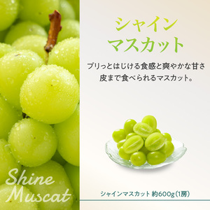 《先行受付》桃とシャインマスカットの詰合せ【2026年9月頃より順次発送予定】 060-017