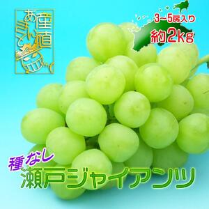 《2025年発送》香川産のもぎたて瀬戸ジャイアンツ2kg【ご家庭用】