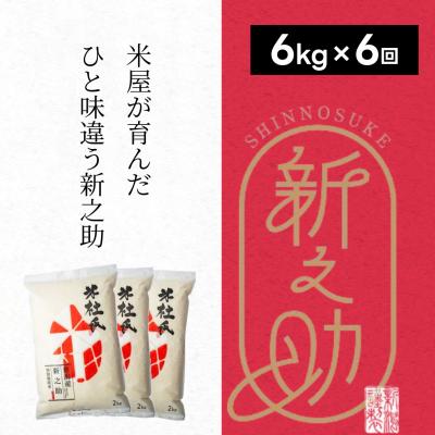 ふるさと納税 阿賀野市 【令和7年産】【6ヶ月定期便】米杜氏 阿賀野市産 新之助 6kg (2kg×3袋)×6回