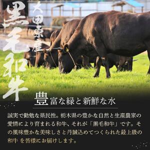 希少部位 大田原産 黒毛和牛 ヒレ ステーキ 約150g×3枚