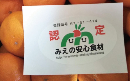  フルーツ  早生 興津 温州 みかん 蜜柑 三重県  高品質 みえ アルギット / Lサイズ 前元農園の完熟早生(興津)温州みかん 3kg【12月初旬～下旬に順次発送】【mmg017B】