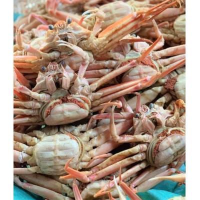 ふるさと納税 京丹後市 茹でセコガニ(コッペガニ)130g前後×3杯セット |  | 01