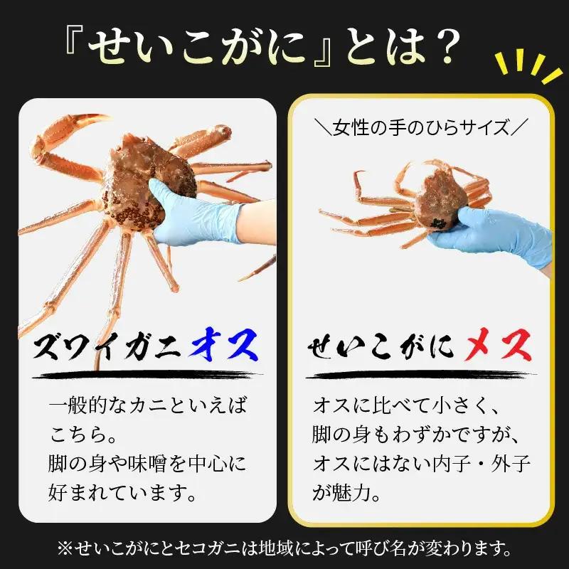 【先行予約】せいこがに甲羅盛り 約70g×4杯 /期間限定 冷凍 解禁 便利 身出し 小分け ビール おつまみ 越前がに メス 福井 福井県 お取り寄せ カニ 蟹 むき身 ポーション 甲羅盛  ボイル