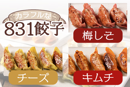 ＜国産野菜と県産豚肉をつかった冷凍生餃子4種食べ比べセット 4種×5個 計20個 オリジナル柚子胡椒タレ1個付＞ギョウザ ぎょうざ ギョーザ お試し【MI216-hc】【ハチサンイチ】