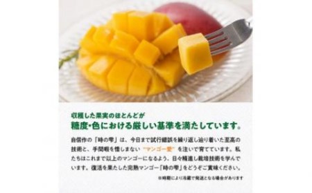 【令和8年発送】宮崎県産 完熟マンゴー「時の雫」 4L×2玉 【 期間限定 数量限定 先行予約 果物 フルーツ マンゴー 宮崎県産 九州産 完熟マンゴー みやざきマンゴー 】