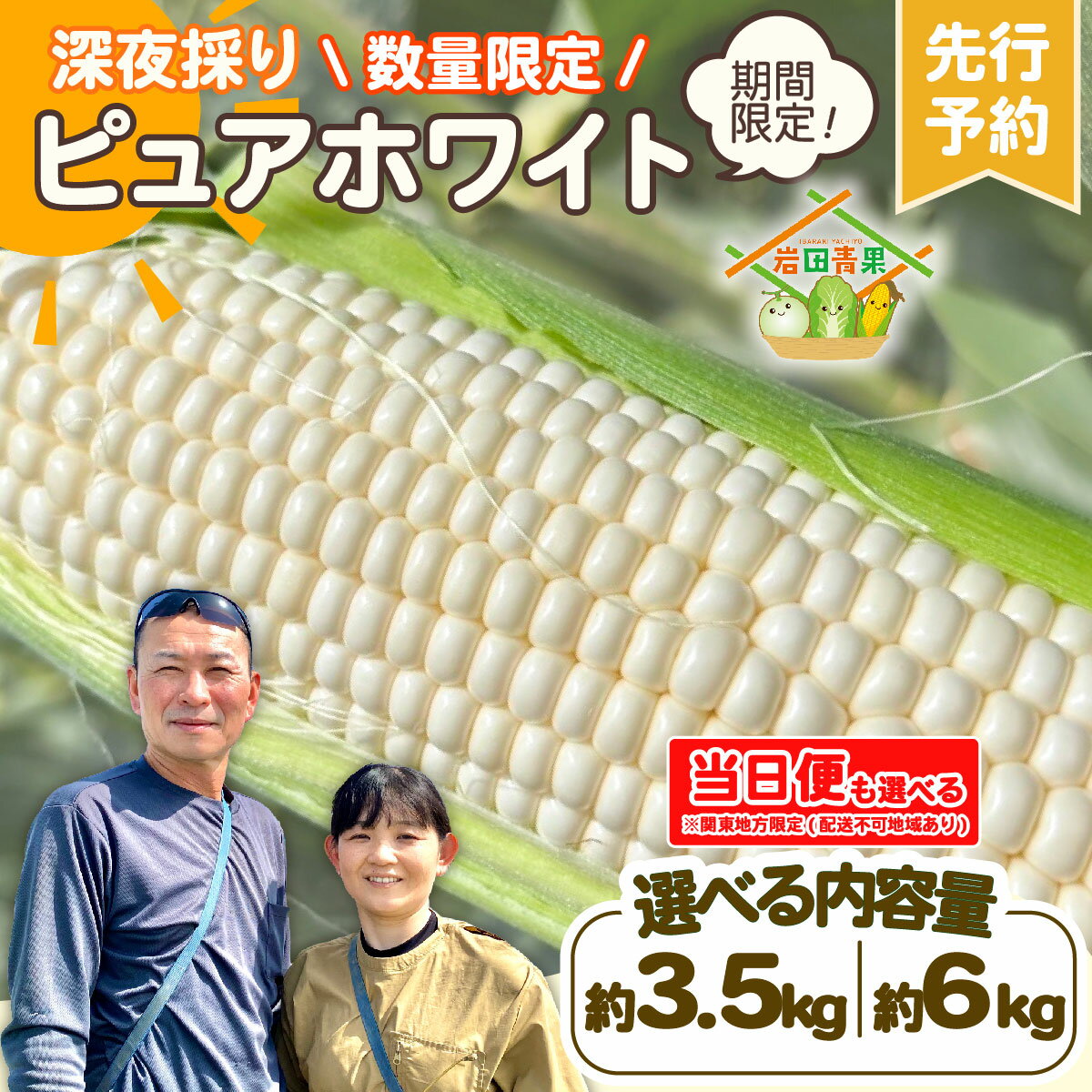 【ふるさと納税】【 先行予約 2026年6月下旬発送】【 令和8年産 】 深夜採り 朝出荷 白い とうもろこし ピュアホワイト 約 6kg 3.5kg【 選べる内容量 / 当日便 】 トウモロコシ 期間限定 甘い 生食 2026年発送 2026年先行受付 2026年
