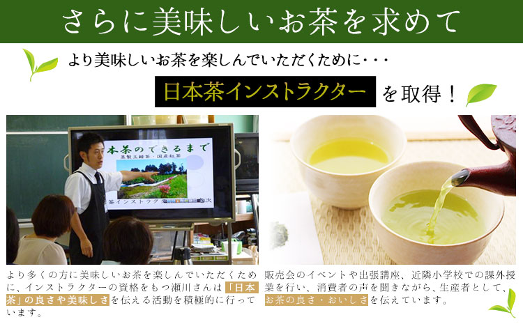 玉緑茶(たまりょくちゃ)「一番茶」 100g×5本 熊本県 大津町産 株式会社 瀬川製茶《60日以内に出荷予定(土日祝除く)》