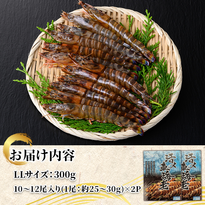 n430 鹿児島県産！活き〆冷凍車海老(LLサイズ・計約600g) 化粧箱入り！ くるまえび 海老 海鮮 海産物 国産 九州産 急速冷凍 ギフト 車海老 真空パック 養殖 冷凍 【車海老日本株式会社】