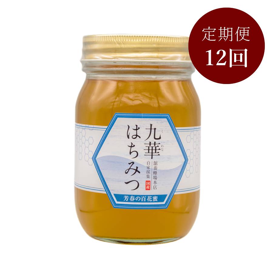＜舘養蜂場本店＞「九華はちみつ」（芳春の百花蜜）500ｇ【12ヵ月定期便】