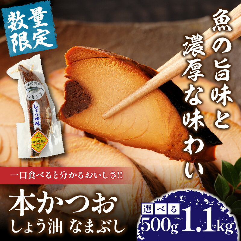 【ふるさと納税】＼一口食べると分かるおいしさ!!／本かつお しょう油 なまぶし 500g 1.1kg 食品 加工品 国産 真空パック おすすめ 鰹 生ぶし 生節 おかず おつまみ サラダ ギフト プレゼント 贈り物 贈答 お取り寄せ おすそ分け 宮崎県 日南市 送料無料