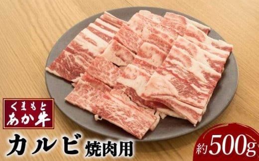 
            カルビ 焼肉 和牛 くまもと あか牛カルビ焼肉用 約500g×1パック 
          