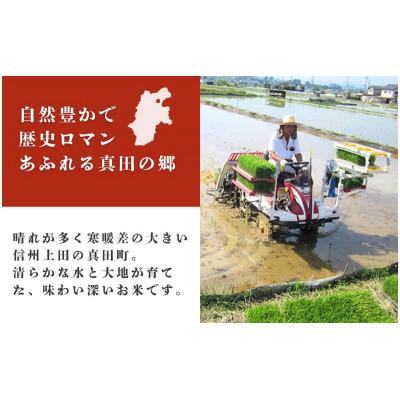 ふるさと納税 上田市 【毎月定期便】コシヒカリ 関口さんちのお米 10kg[54040757]全6回 |  | 01