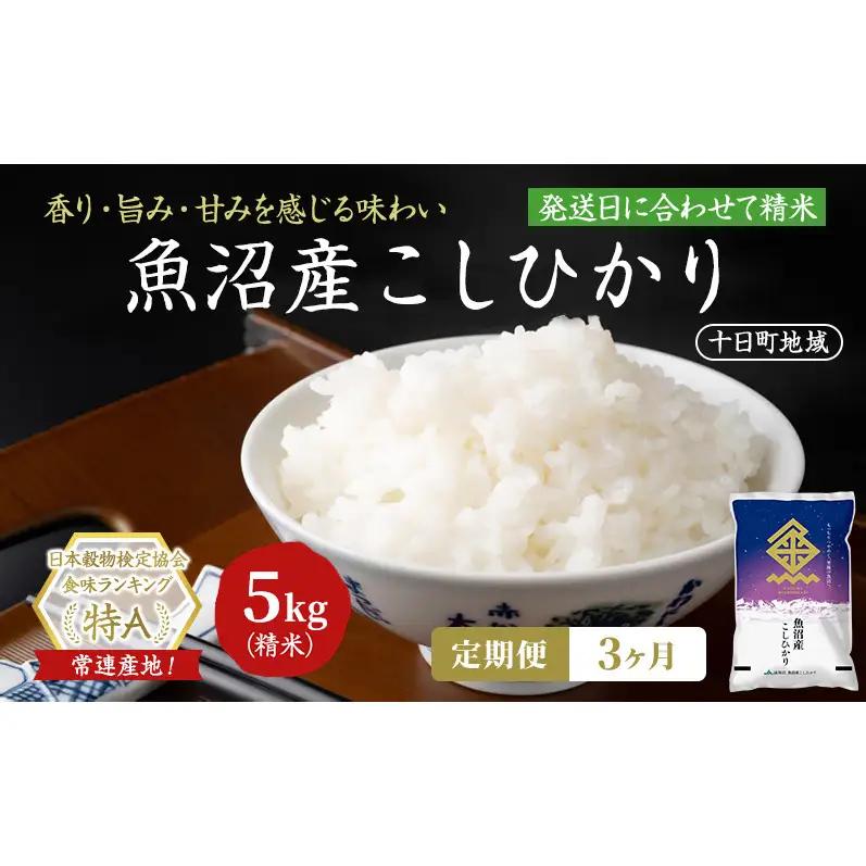 【令和8年産 先行予約】【3ヶ月定期便】魚沼産こしひかり(十日町地域) 精米 5kg 米 お米 コシヒカリ 定期 十日町市