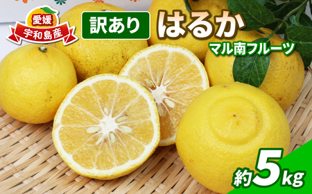 訳あり はるか 5kg 不揃い マル南フルーツ 果物 フルーツ 甘い 柑橘 みかん 蜜柑 数量限定 産地直送 国産 愛媛 宇和島 B012-106003訳あり はるか 5kg 不揃い マル南フルーツ 