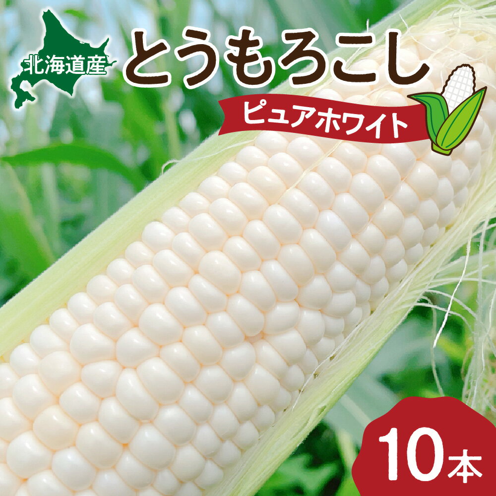【ふるさと納税】 白とうもろこし 10本 5kg 北海道産 数量限定 朝どれ 産地直送 ピュアホワイト 甘い 糖度 約17度以上 朝もぎ 産直 とうもろこし とうきび 北海道 札幌市