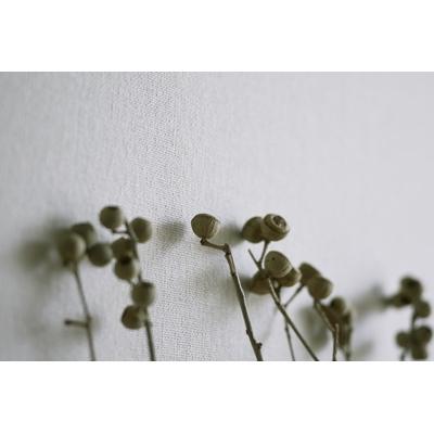 ふるさと納税 木津川市 【京都産　京織物　壁紙】京都いづみ　Aoi-葵-(5106) |  | 02