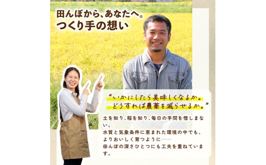 コシヒカリ 新潟 定期便 令和8年産 5kg 8ヶ月 新潟県産 コシヒカリ 5㎏×8か月 新潟県 新潟産 定期便 新潟米 新発田産 新発田 お米 米 そうえん米コシヒカリ 5kg 40kg 8か月 定