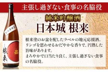 日本酒 根来純米吟醸と熟成山廃仕込根来桜 720ml 2本セット 酒のねごろっく 《30日以内に出荷予定(土日祝除く)》和歌山県 岩出市 