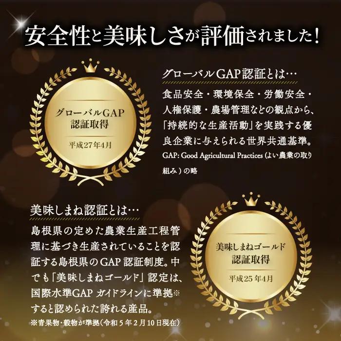 無塩･無添加トマトジュース｢奥出雲美人｣12本【トマトジュース 無添加 無塩 国産 砂糖不使用 720ml 12本 セット 100%ジュース 野菜ジュース 飲料 料理 健康 美容 安心 安全 リコピン