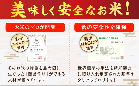 広川の輝き お米 10kg （5kg×2袋） 広川町 / 株式会社カネガエ[AFBD009]