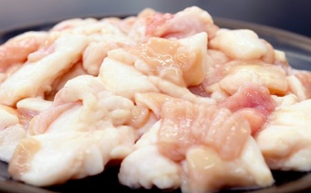 松阪牛ホルモン 牛肉 ホルモン【1-239】