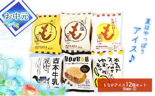 
            ★お中元★高知アイスの「もなかアイス」12個セット（6種類×２）
          