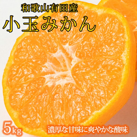 【ふるさと納税】【有田の小粒みかん5kg　(S～3Sサイズ混合) ※2026年1月中旬頃～2026年1月下旬頃に順次発送予定 / みかん ミカン 蜜柑 温州みかん 柑橘 フルーツ 果物 くだもの 和歌山