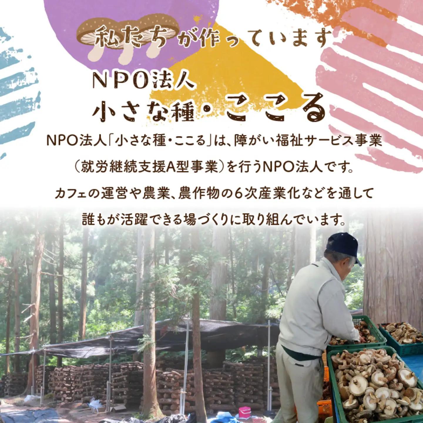 鯖江市産 原木乾燥椎茸「越のてまり」 （大・中サイズ）3パック &（小サイズ）2パック　計5パック　野菜　きのこ