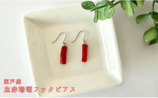 
            珊瑚 血赤珊瑚 フックピアス K14 ホワイトゴールド 天然 赤珊瑚 ピアス ジュエリー 高級 宝石 海の宝石 プレゼント ギフト 記念日 誕生日 一生物 日本製 上品 エレガント アクセサリー レディース ふるさと納税 高知県 室戸市
          