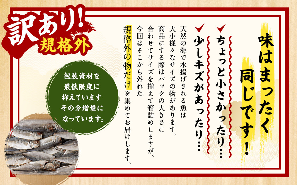 訳あり規格外 業務用あじ干物 1.9kg