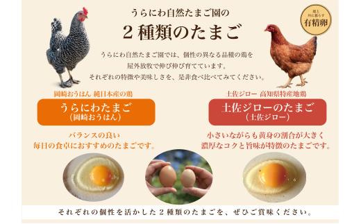 土佐ジロー10個×2P(6回) うらにわ自然たまご園