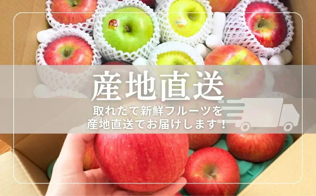 【2026年先行予約】りんご 園主におまかせ 詰合せ 計約3kg（8~11玉）りんごの宝石箱 | 長野県 千曲市