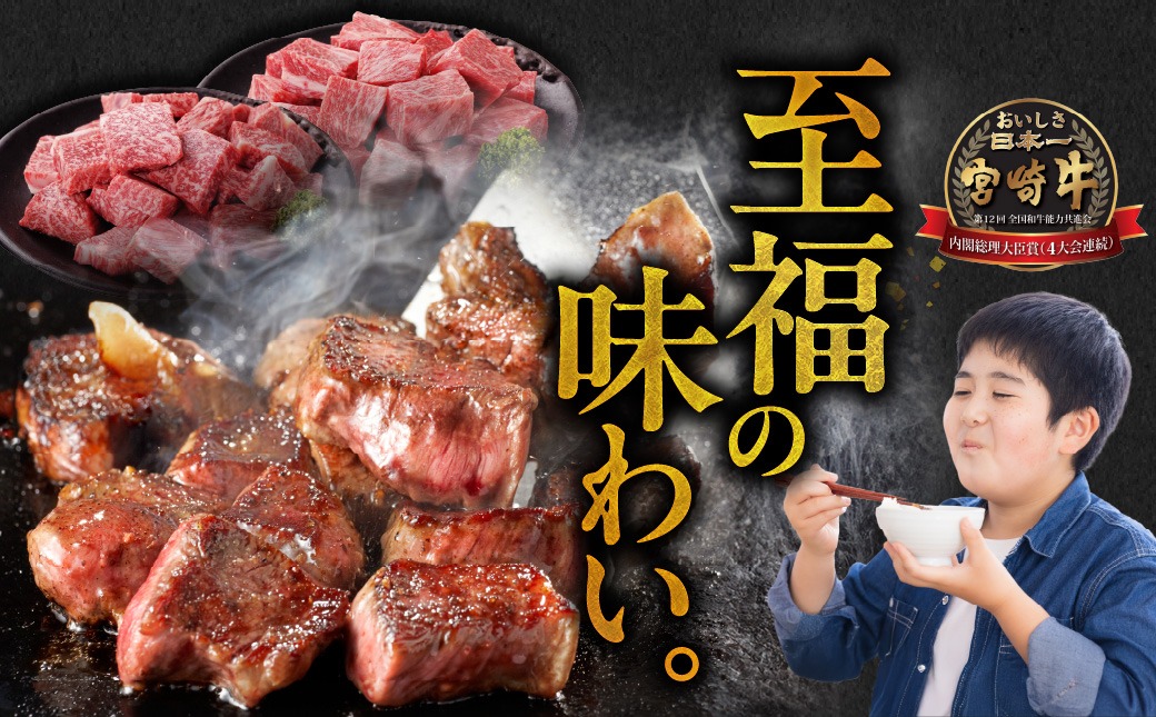 畜産農家応援! 宮崎牛サイコロステーキ2種セット500g×2パック+豚肉ハンバーグ100g×4個_17-N204-ESH