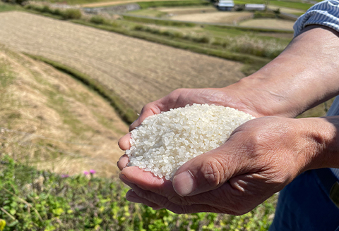井原市美星町産コシヒカリ【精米】星の郷 美山米 ５kg