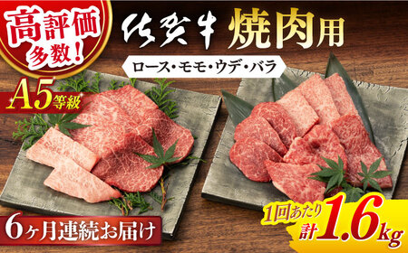 【6回定期便】佐賀牛 牛肉A5焼肉用総計9.6kg NAB430 定期便牛肉