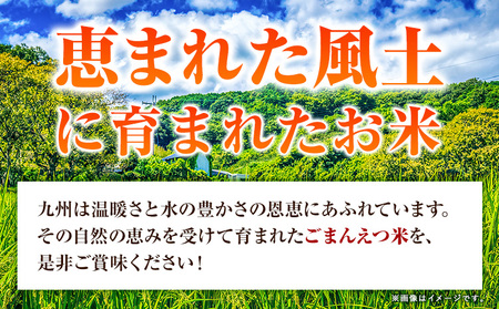 【隔月6回定期便】 米 無洗米 ごまんえつ米 5kg 5kg×1袋 米 こめ 定期便 家庭用 備蓄 熊本県 長洲町 くまもと ブレンド米 熊本県産 訳あり 常温 配送 《お申込み翌月から出荷》