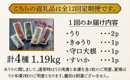 漬物 【全12回定期便】 4種 1.19kg [ABAE048] 漬物