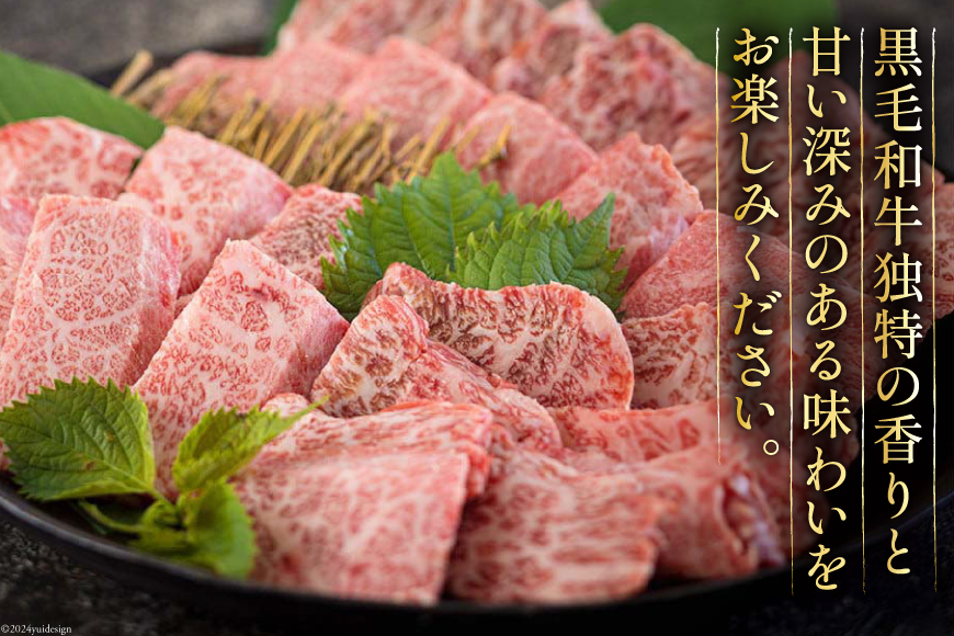 黒毛和牛 特選 カルビ 焼肉 500g [アグリ産業匠泰 宮崎県 美郷町 31be0024] 牛肉 炒め BBQ バーベキュー キャンプ 普段使い 調理 おかず 料理 国産 送料無料 パック 厳選 カ