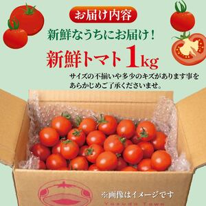 【ふるなびWEEK対象】 【先行受付】 新鮮トマト1kg 【安田町産】| トマト TR-03