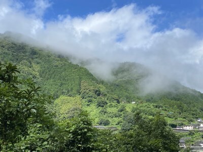 0223101 ムカイクラフトブルーイング　Geo[ジオ]シリーズ　２種各３本セット